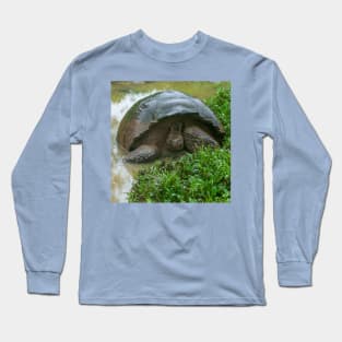 Galapagos Islands Giant Tortoise Turtle Long Sleeve T-Shirt